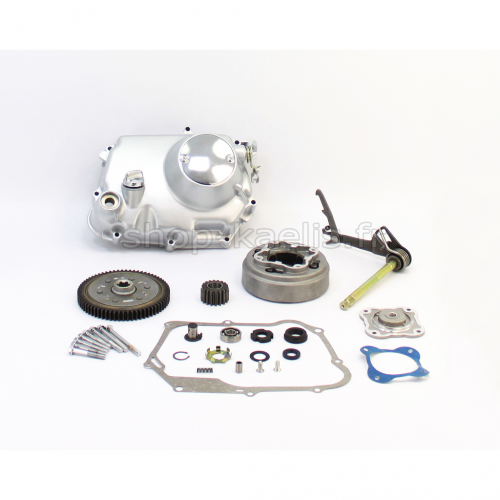 Moteur Complet 125cc 4 Temps Pour Moto Lifan Pit Bike - Embrayage Manuel 4 Vitesses - Neuf - Garantie 2 Ans