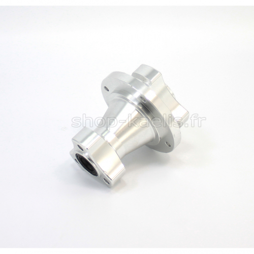 Sissy Bar CSXL Fix pour Harley Davidson Sportster 1200